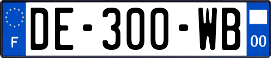 DE-300-WB