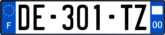 DE-301-TZ