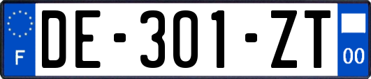 DE-301-ZT