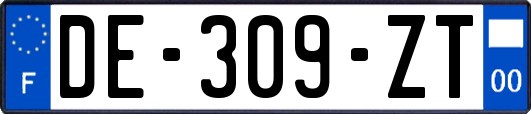 DE-309-ZT