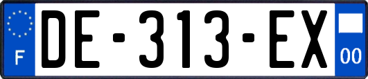 DE-313-EX