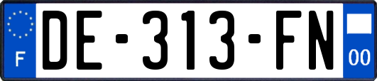 DE-313-FN