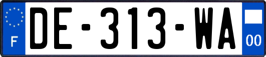 DE-313-WA