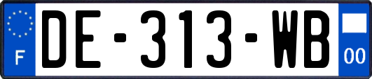 DE-313-WB