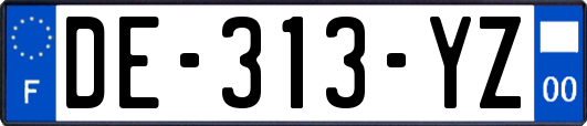 DE-313-YZ