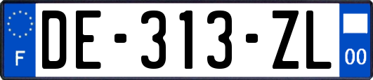 DE-313-ZL