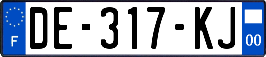 DE-317-KJ