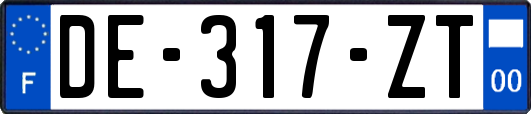 DE-317-ZT