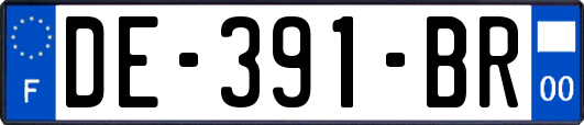 DE-391-BR
