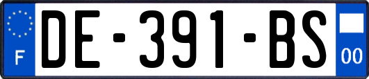 DE-391-BS