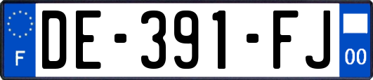 DE-391-FJ