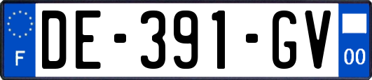 DE-391-GV