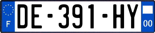 DE-391-HY