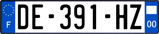 DE-391-HZ