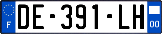 DE-391-LH