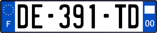 DE-391-TD