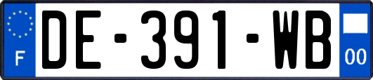 DE-391-WB