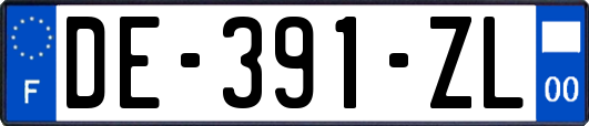 DE-391-ZL