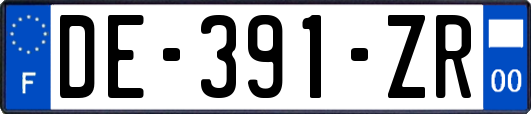 DE-391-ZR