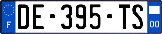 DE-395-TS