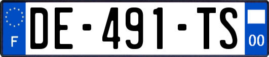 DE-491-TS