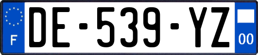 DE-539-YZ