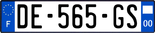 DE-565-GS