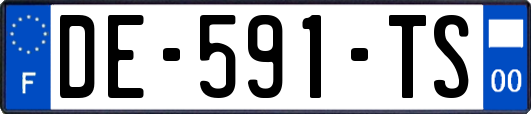 DE-591-TS