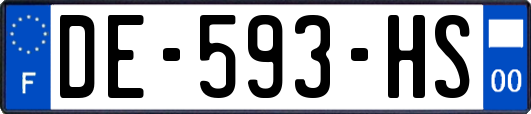 DE-593-HS