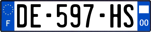 DE-597-HS