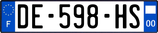 DE-598-HS