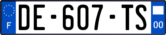 DE-607-TS