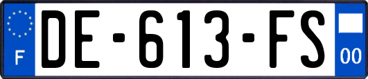 DE-613-FS