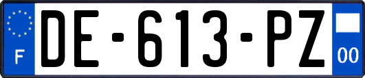 DE-613-PZ