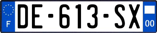 DE-613-SX