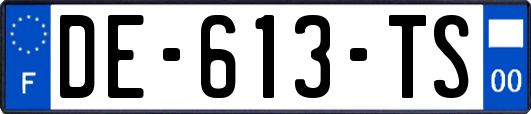 DE-613-TS