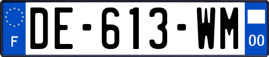 DE-613-WM