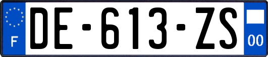 DE-613-ZS