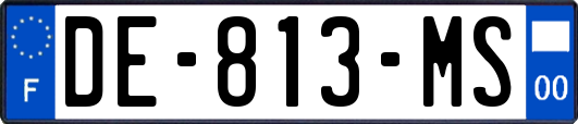 DE-813-MS