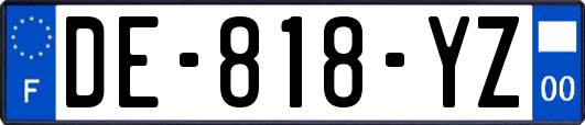 DE-818-YZ