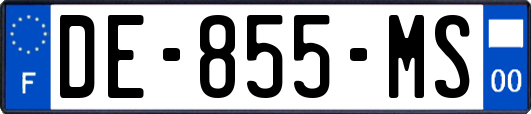 DE-855-MS