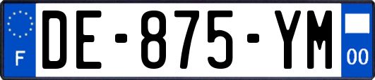 DE-875-YM