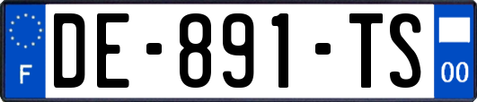 DE-891-TS