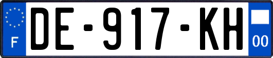 DE-917-KH