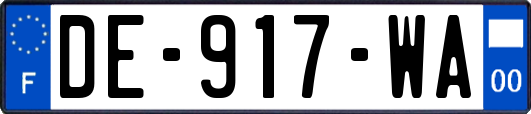 DE-917-WA