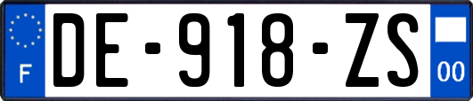 DE-918-ZS