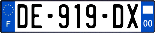 DE-919-DX