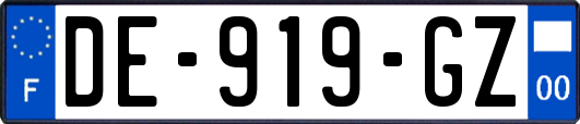 DE-919-GZ