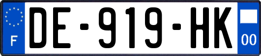 DE-919-HK