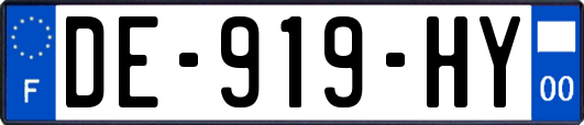 DE-919-HY